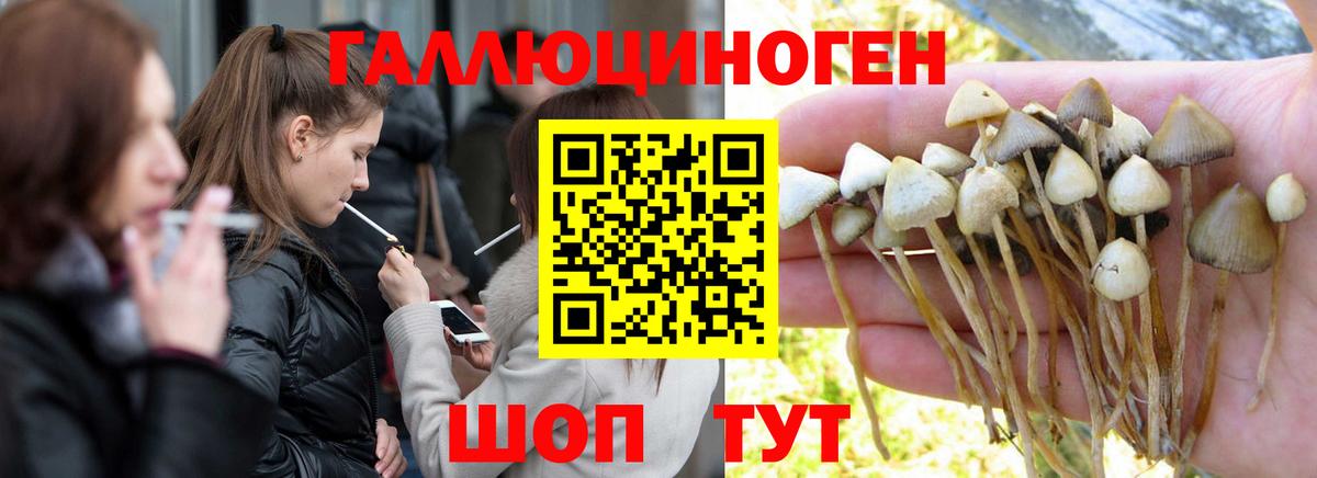 Псилоцибиновые грибы мухоморы  Вход с VPN  Дедовск 